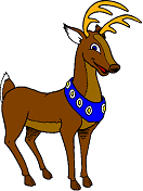 Dasher